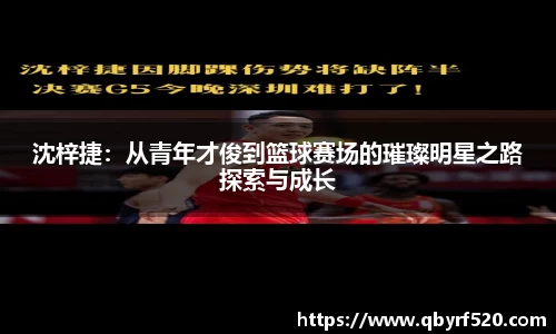 PA视讯平台